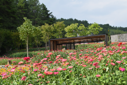 大別山房車營地，“五一鉅惠”來襲