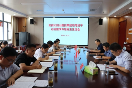 國(guó)投集團(tuán)召開巡視整改專題民主生活會(huì)