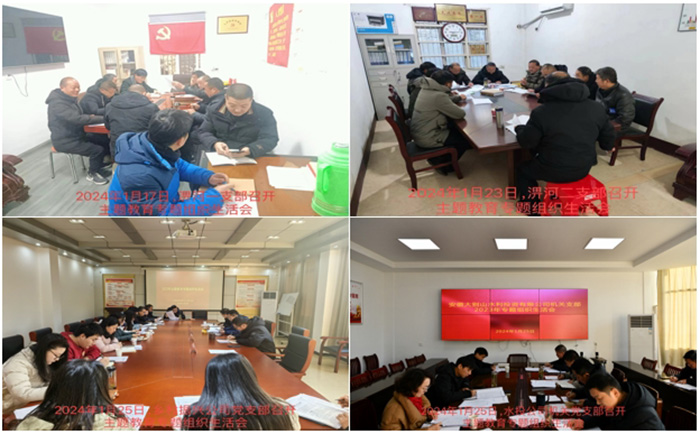 國(guó)投集團(tuán)召開(kāi)主題教育專(zhuān)題組織生活會(huì)