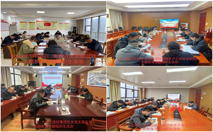 國(guó)投集團(tuán)召開(kāi)主題教育專(zhuān)題組織生活會(huì)