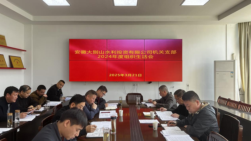 水投公司機(jī)關(guān)支部召開2024年度組織生活會