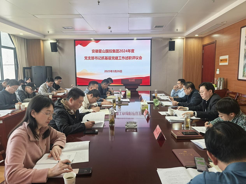 集團(tuán)黨委組織開展2024年度黨支部書記抓基層黨建工作述職評(píng)議