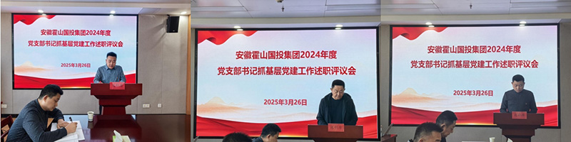 集團(tuán)黨委組織開展2024年度黨支部書記抓基層黨建工作述職評(píng)議