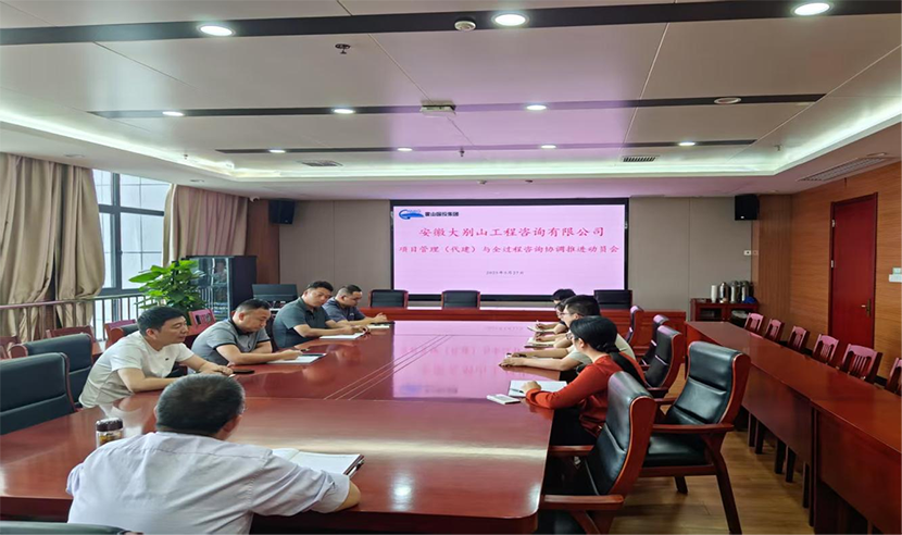 大別山工程咨詢公司召開發(fā)展規(guī)劃推進會