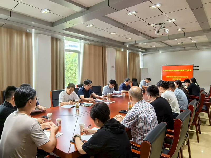 鄉(xiāng)村振興公司召開2025年上半年度黨風廉政建設工作會議