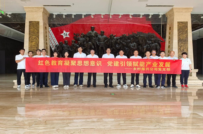 鄉(xiāng)村振興公司黨支部開展主題黨建活動(dòng)