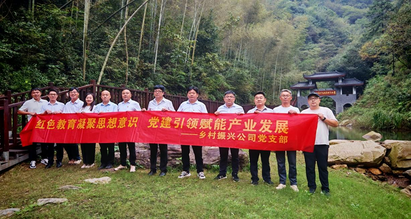 鄉(xiāng)村振興公司黨支部開展主題黨建活動(dòng)