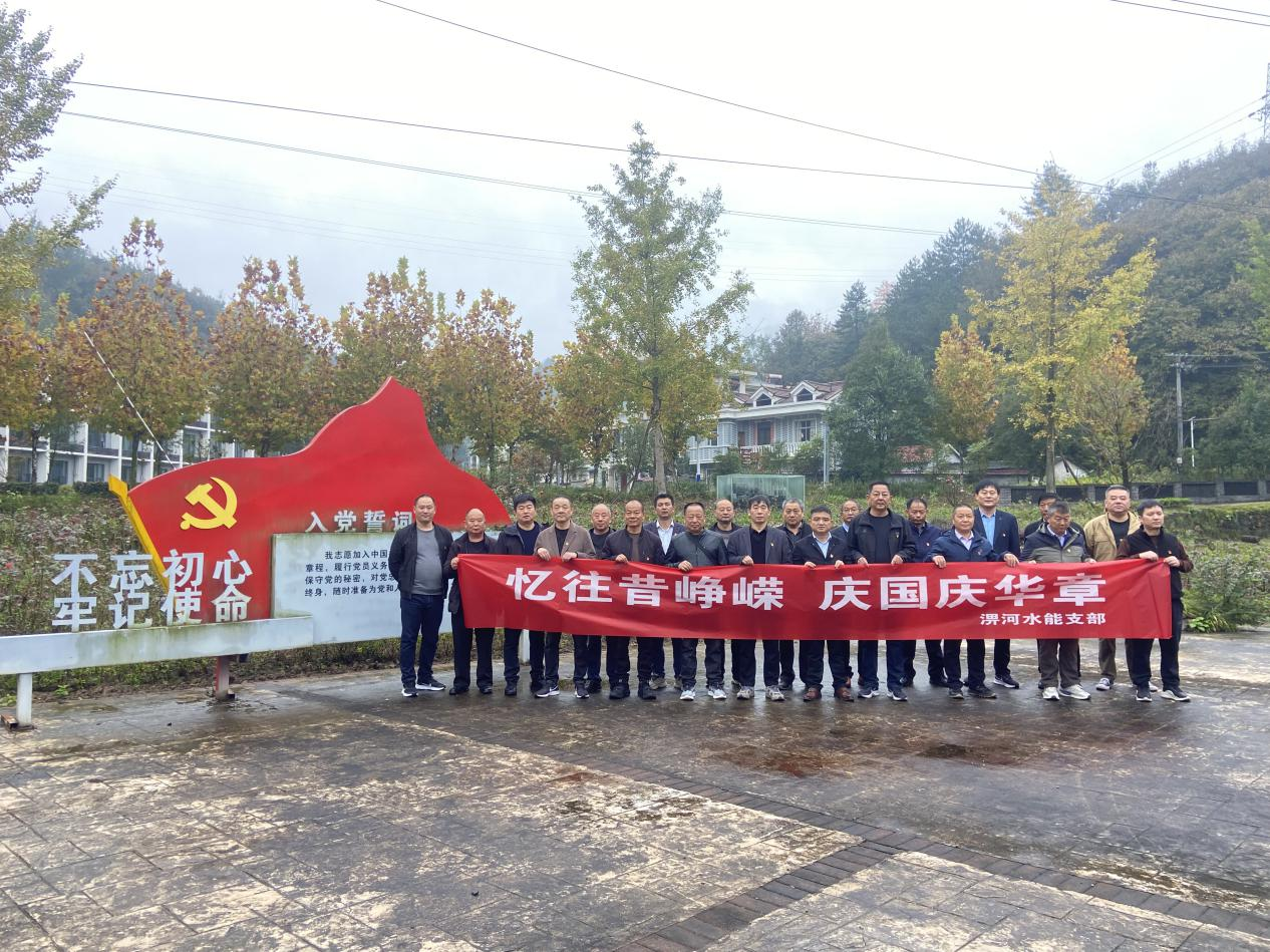 淠河水能公司黨支部組織 開展“主題黨日”活動