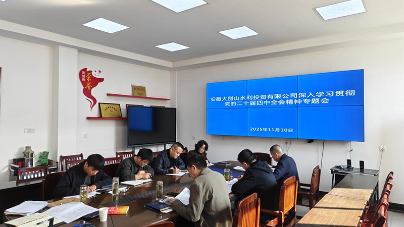 水投公司深入學(xué)習(xí)貫徹黨的二十屆四中全會精神