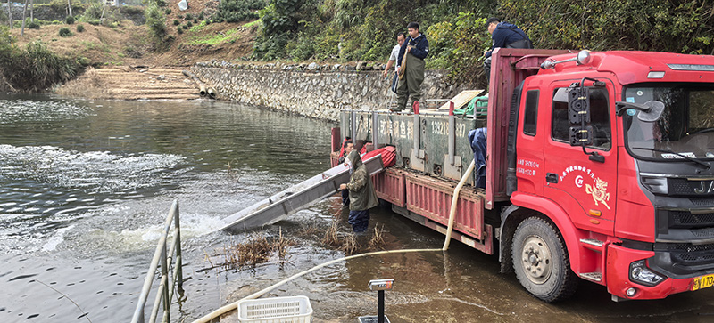 水產(chǎn)公司組織開展2025年秋季增殖放流
